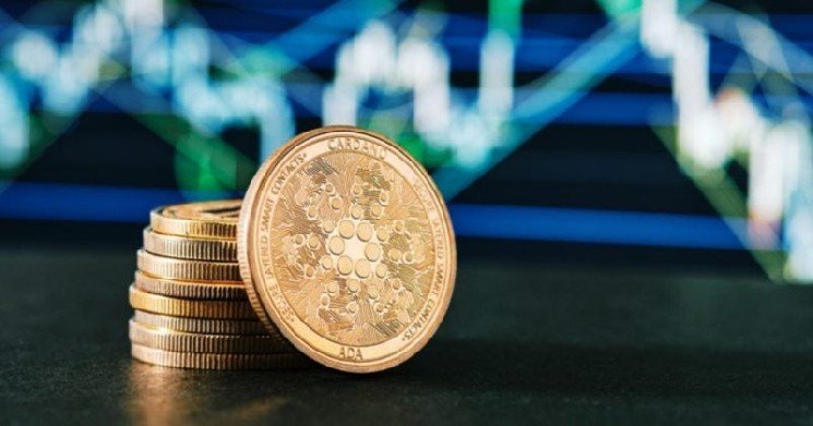 ဆုံးရှုံးမှုကြီးတဲ့ အမှား